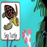 Download Sea Creatures Discovery Cell Phone Game